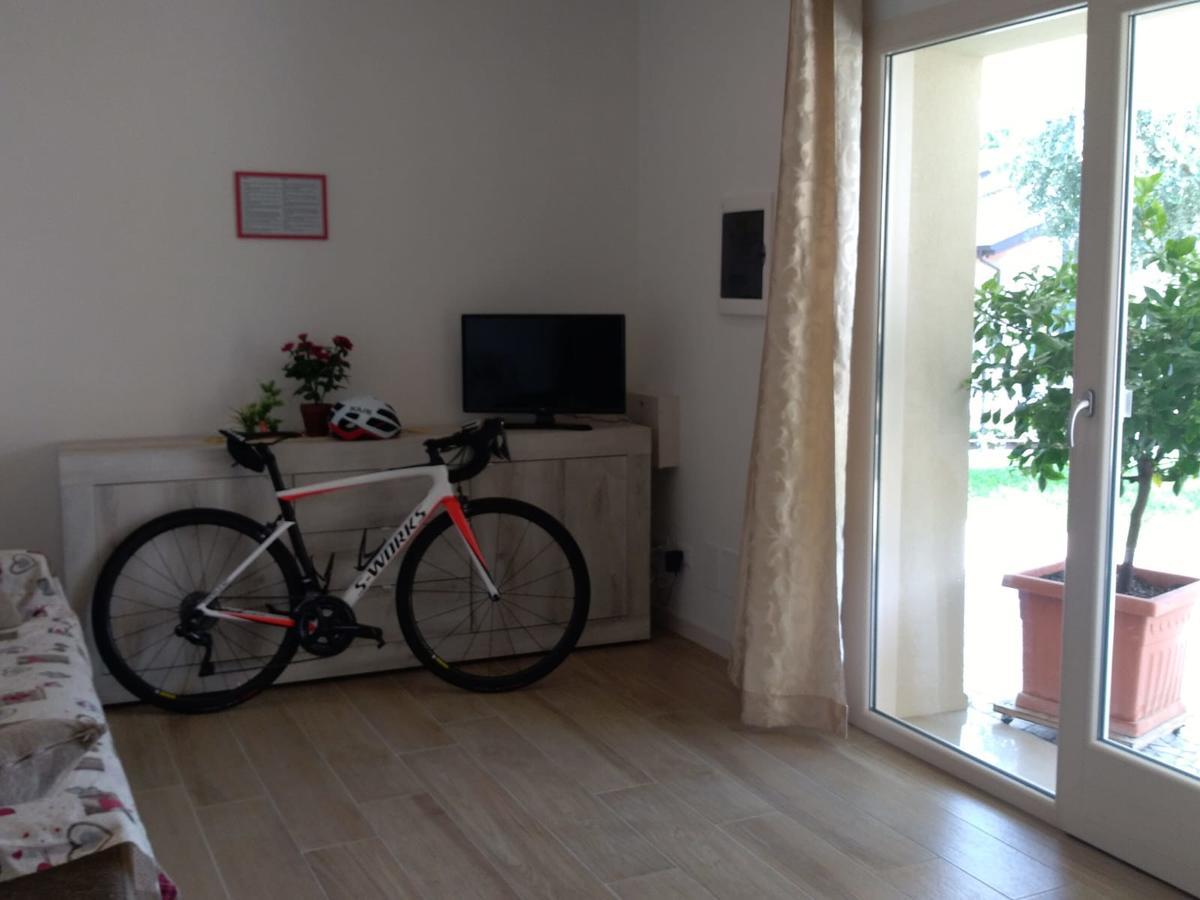 Apartment Conte Borso del Grappa Extérieur photo
